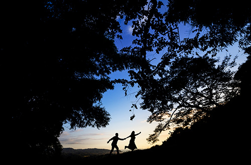 Gallery 27 - #DVLOPsilhouette